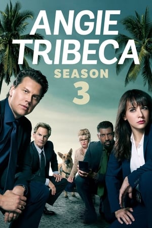Angie Tribeca – Season 3