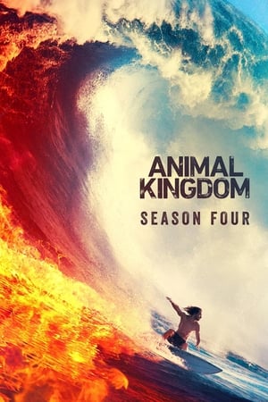 Animal Kingdom – Season 4