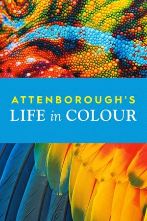 Attenborough’s Life in Colour – Season 1