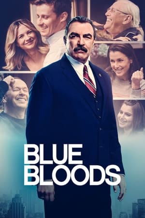 Blue Bloods – Season 13