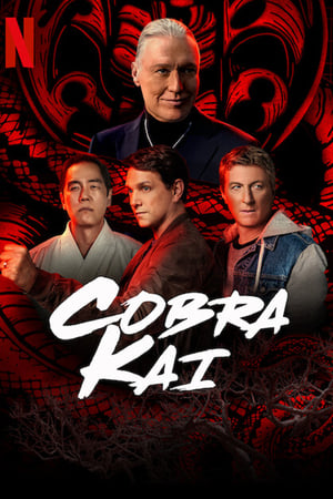 Cobra Kai – Season 5