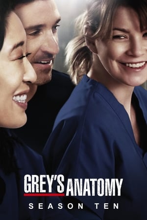 Grey’s Anatomy – Season 10