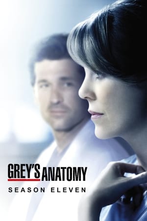 Grey’s Anatomy – Season 11