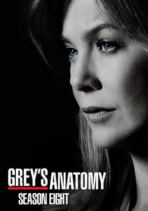 Grey’s Anatomy – Season 8