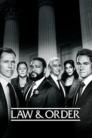Law and Order – Season 21