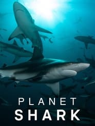 Planet Shark – Season 1