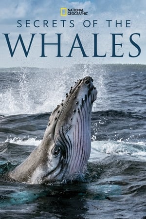 Secrets of the Whales – Season 1