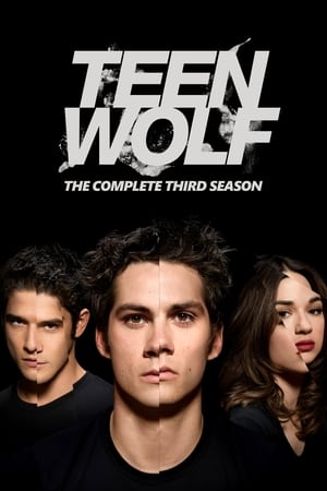 Teen Wolf – Season 3