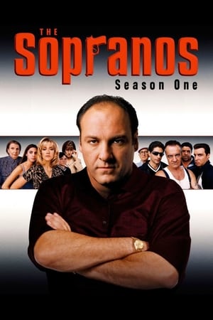 The Sopranos – Season 1