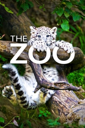 The Zoo (US) – Season 3