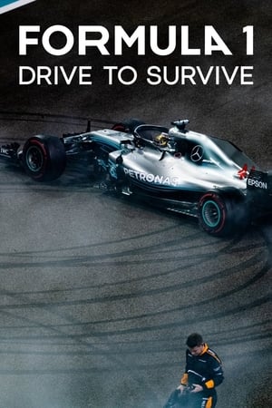 Formula 1: Drive to Survive – Season 2