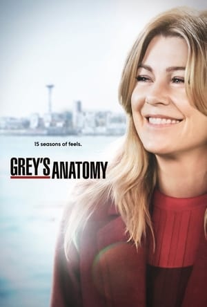 Grey’s Anatomy – Season 15