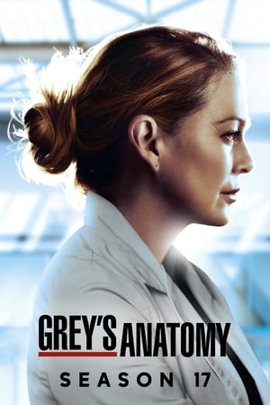 Grey’s Anatomy – Season 17