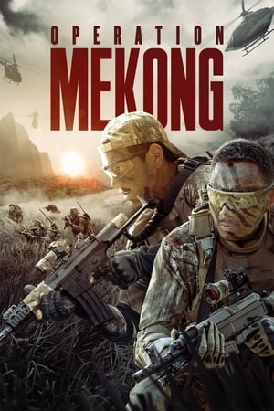 Operation Mekong (Mei Gong he xing dong)