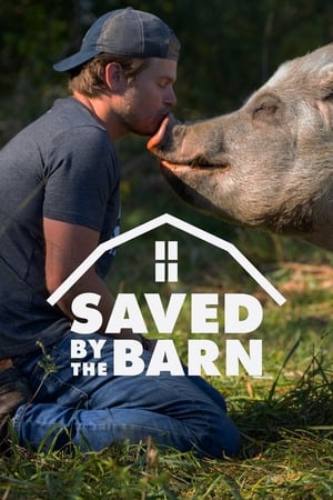 Saved By The Barn – Season 1