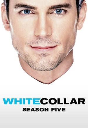 White Collar – Season 5